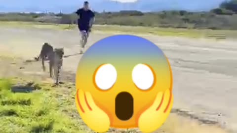 Chita Vs Mr.Beast