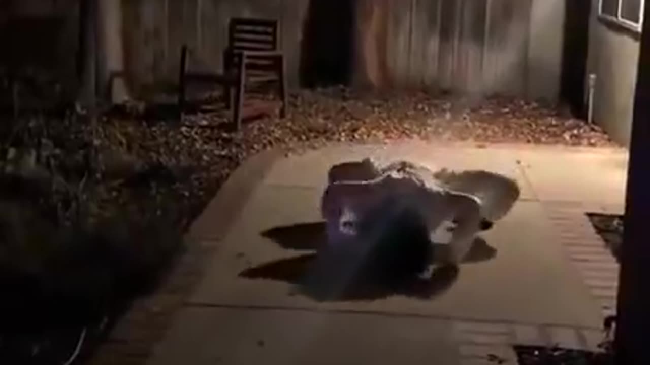 Creepy Halloween costume