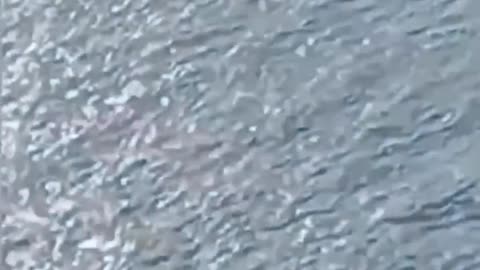 ‼️ Footage from a Russian helicopter, chasing Ukrainian naval drones in the Black Sea.