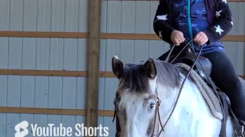 Kyla riding Indigo