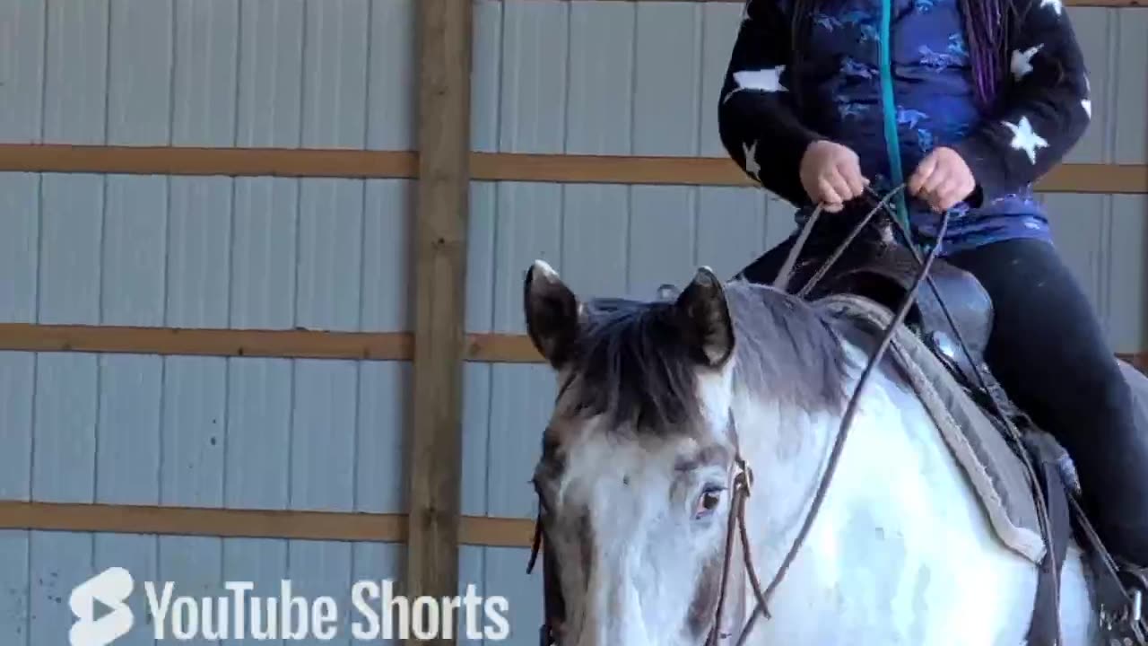 Kyla riding Indigo