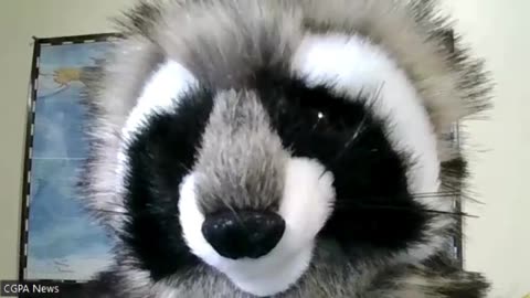 CGPA Puppet Sports Analyst Dave Clarke - Are NFL Kickers Changing the Complexity of the Game...