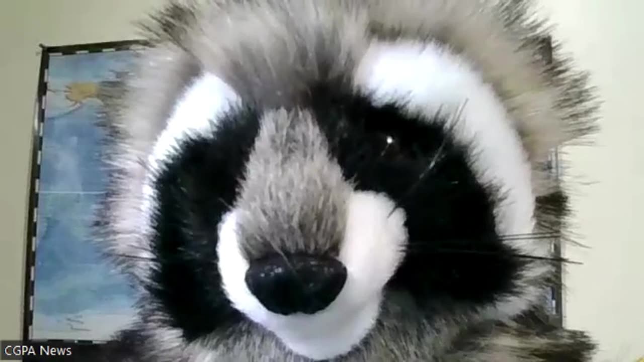 CGPA Puppet Sports Analyst Dave Clarke - Are NFL Kickers Changing the Complexity of the Game...