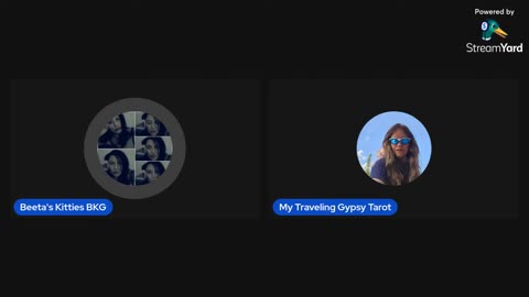 07/08/25 Beeta's Kitties VOD: "You are misunderstood. So am I. Sorry 😞"