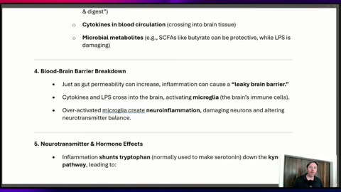 The Truth About Leaky Brain and Neuroinflammation