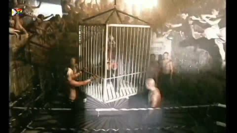MTV Live Stream