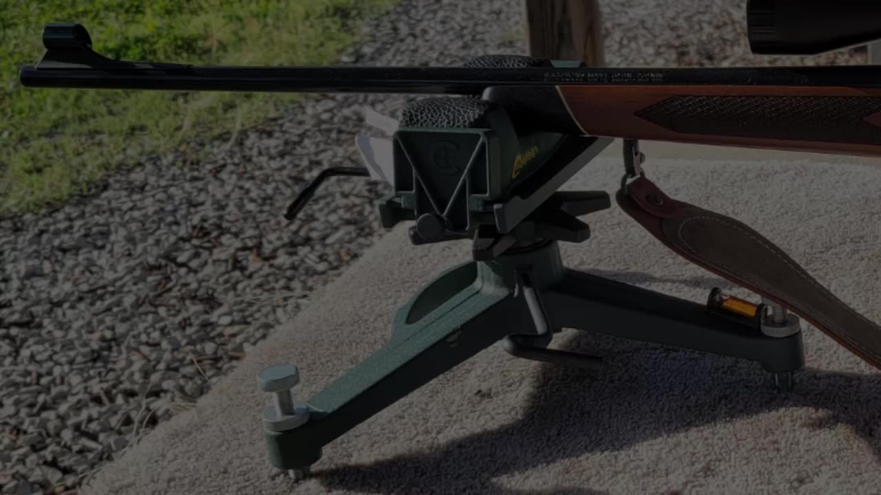 $300 Rifle That Shoots Sub-MOA?! 😳 #BearArms