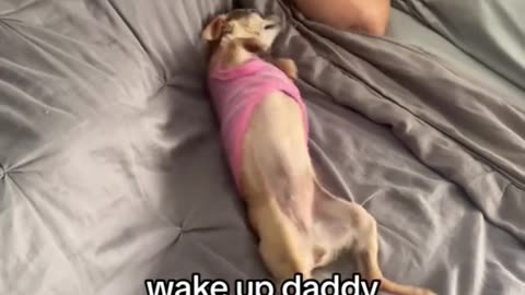 Wake up daddy