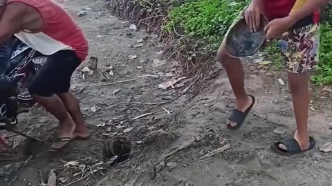 Funny