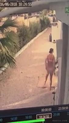 Italian takes a good shit