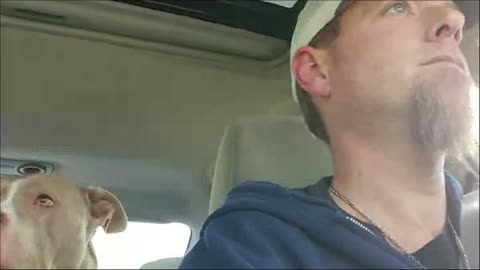 driving around with the dog 🐕