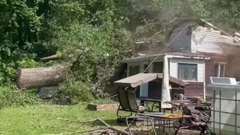 Tree Damage