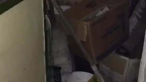 Seeing a genie in an abandoned house