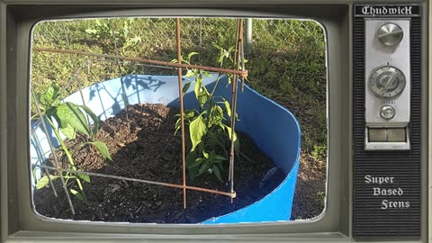 Gardewaffen pt 1 - planting and fertilizing