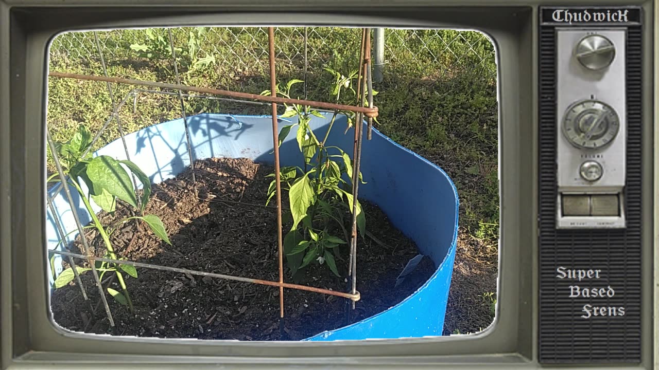 Gardewaffen pt 1 - planting and fertilizing