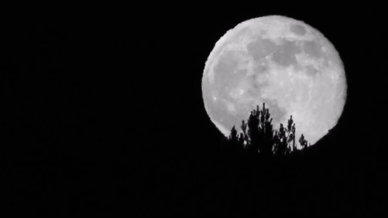 Music Video: "Moonlight's Shadow" Music by Nicholas Camarena