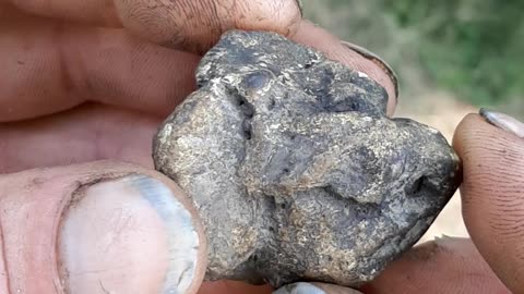 Fossilized Frog #stoned #toad