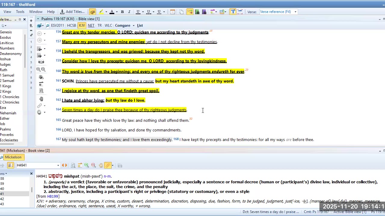 Bible study Psalms 119 Pt 9