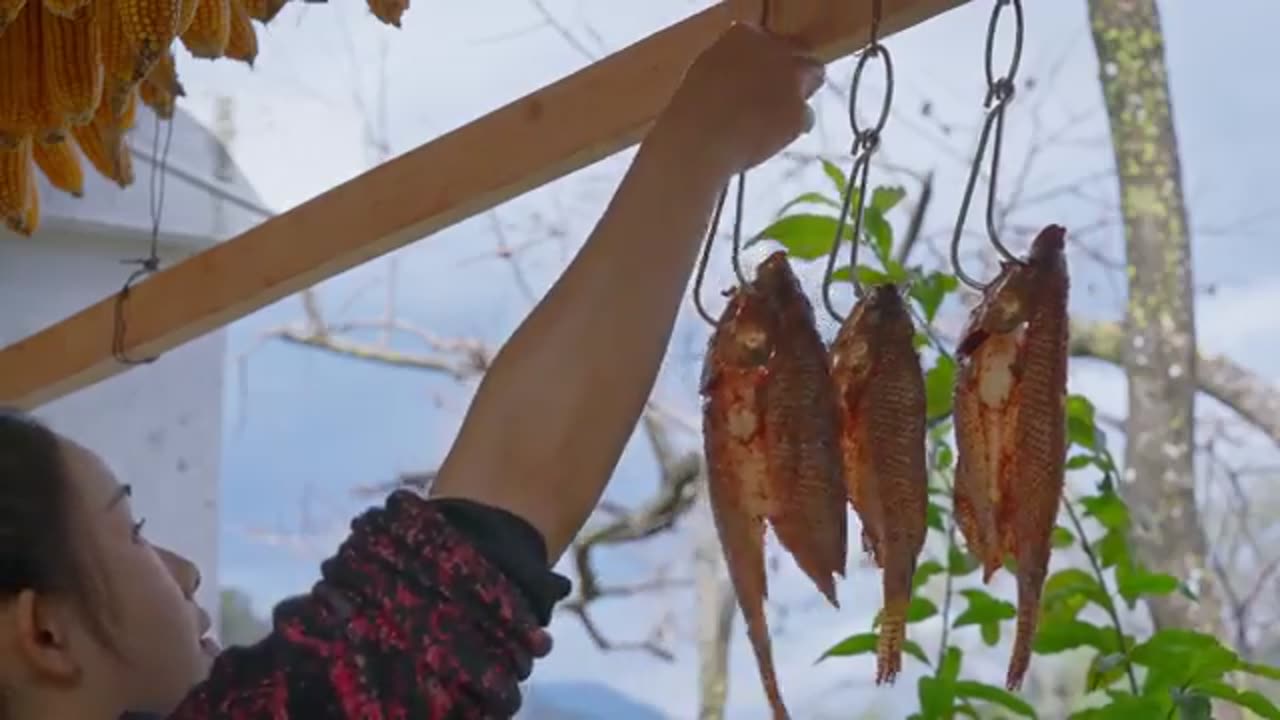 FreFreshwater Fishes: Fresh Flovers From streams in Yunnan Mountains (滇西小哥)