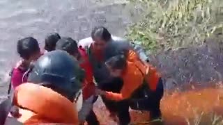 Avioneta se estrella y cae en un pantano de caimanes