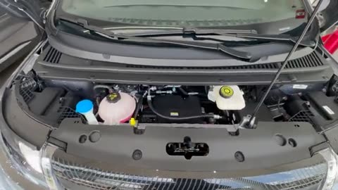 NOVO BYD DOLPHIN GS 2025