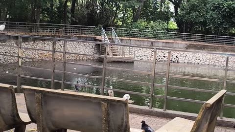 Chùa Dơi 2 , Sóc Trăng