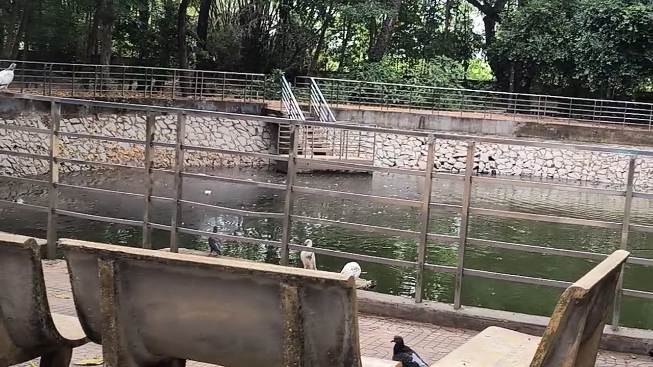 Chùa Dơi 2 , Sóc Trăng