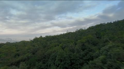 "The glow of the morning is not enough, you must light the candle too." #LightTheCandle