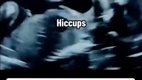 What BABIES do in the WOMB