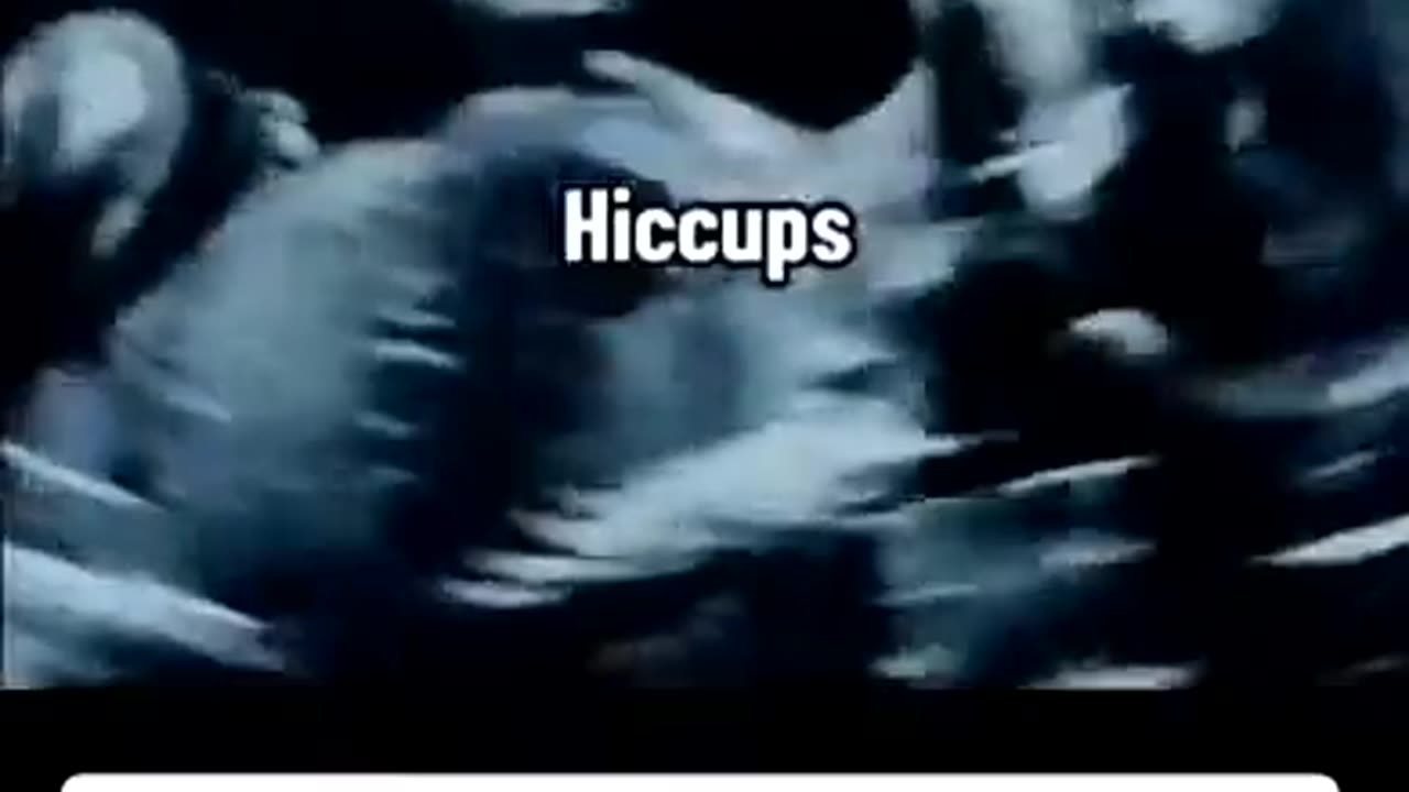 What BABIES do in the WOMB