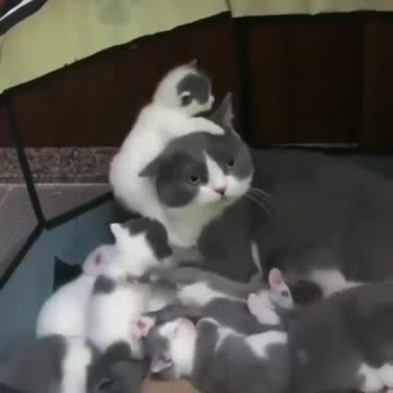 There’s always one.. 😂