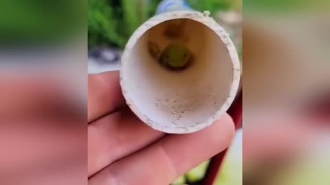 Funny Animal Videos Compilation"