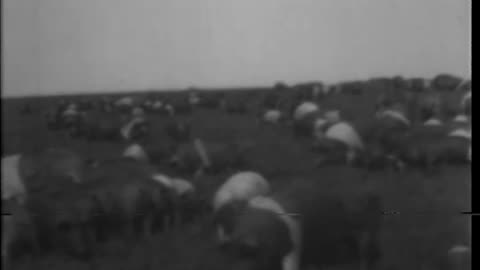 BEHIND THE BREAKFAST PLATE - BEHIND THE BREAKFAST PLATE - 33-191
