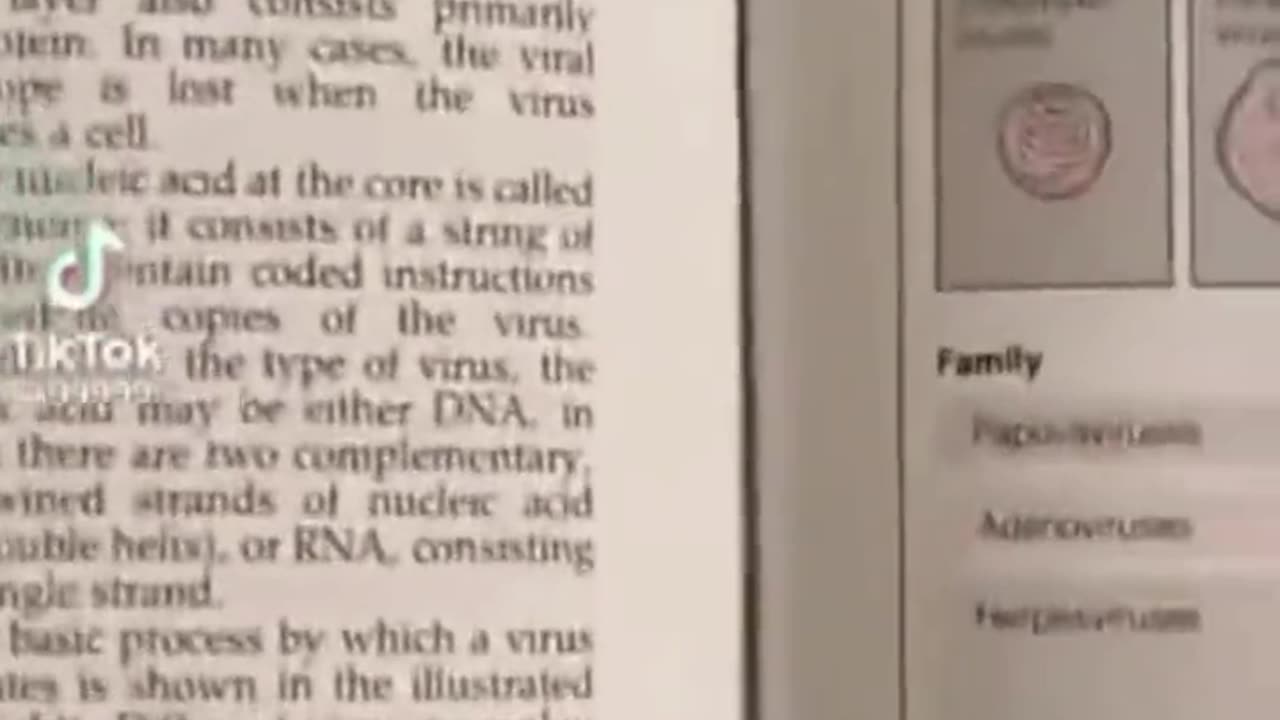 Plandemic