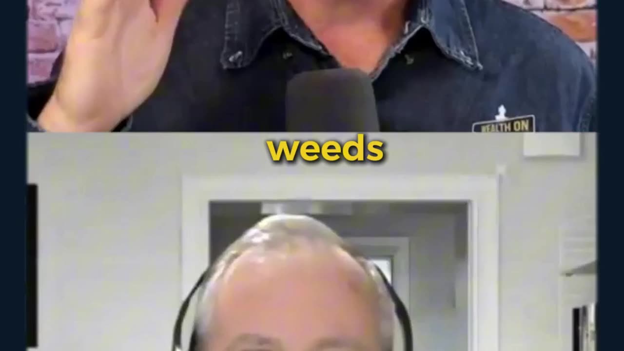 Are You Planting Seeds or Growing Weeds?