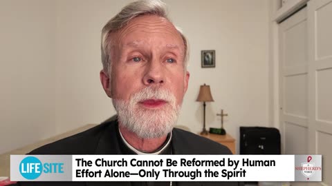 Why human plans fail the Church - Bishop Strickland