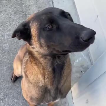 What a distinguished gentleman.. 😊