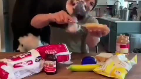 How your government treats your Income