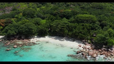 The Perfect Afternoon Surrounded by Nature’s Freshest Scenery