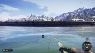 Diamond Mirror Carp COTW The Angler Anuncios Locales Reserve