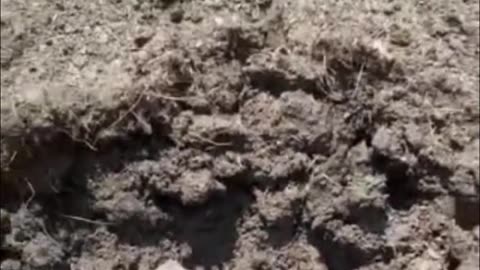💥🛸 Ukraine Russia War | Ukrainian Shaped-Charge Drone Munitions Demonstrated | RCF