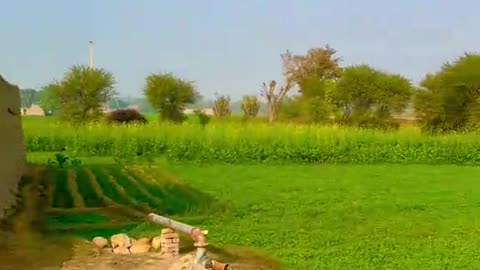 The Beauty of Pakistani Village Paths and Outskirts Homes"