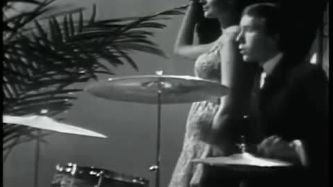 The Zombies - She's Not There (480p)