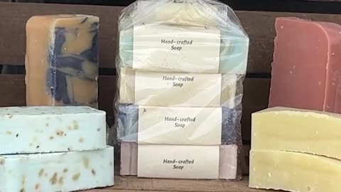 Desert Homestead 2026: Garden Growth & Family Holiday Recap