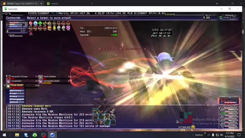 Playing Final Fantasy XI Online