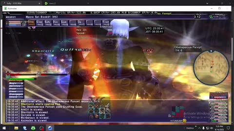 Playing Final Fantasy XI Online
