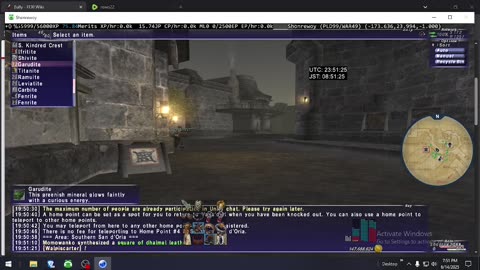 Playing Final Fantasy XI Online
