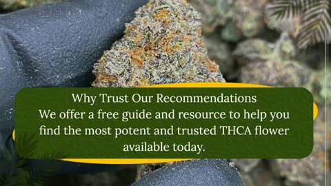 best thca flower