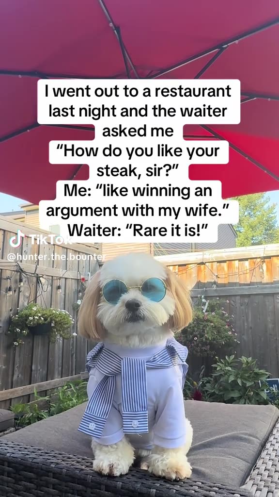 WISECRACKING 😊WEDNESDAY 11/19/25