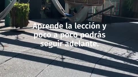 Tus emociones no te definen, pero sí te guían.